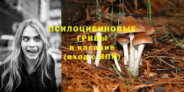 кокс Няндома