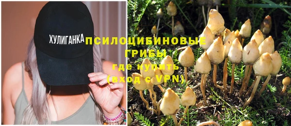 кристаллы Нягань