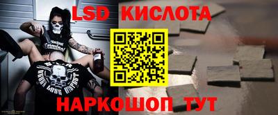 гидропоника Будённовск