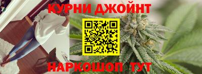 гидропоника Будённовск