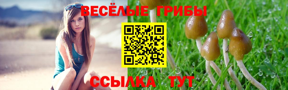 Красноуфимск  Галлюциногенные грибы Psilocybe  Галлюциногенные грибы ЛСД  Вход с VPN 